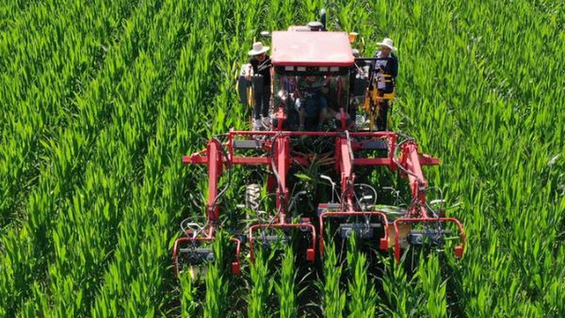 小型农机租赁型号