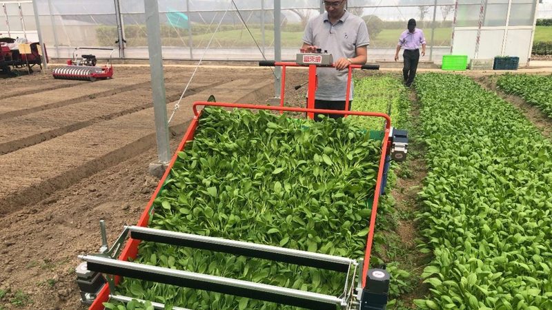 2024年大疆植保无人机价格解析：如何理性选择？**