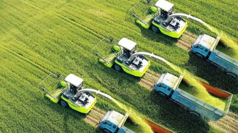湛江农机补贴报价单：补贴政策解读与选购要点**